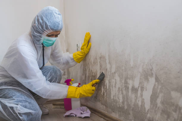 Best Residential Mold Remediation in Villas, NJ
